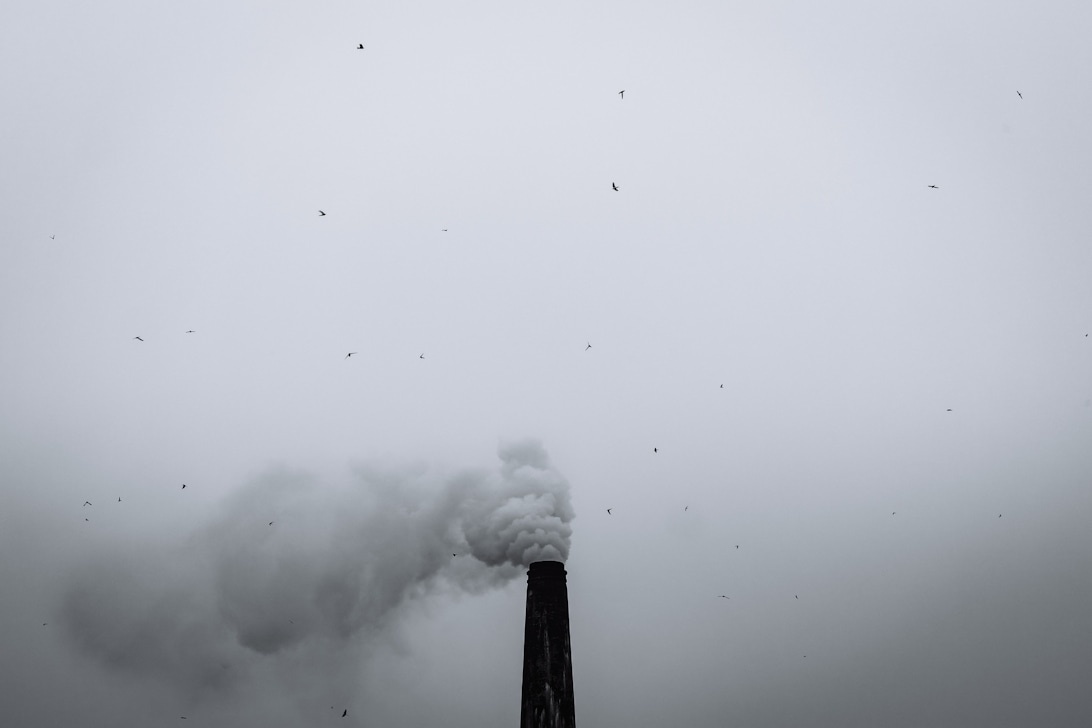 Industriell skorsten som släpper ut tjock rök mot en grå himmel, med fåglar som flyger runt föroreningarna.
